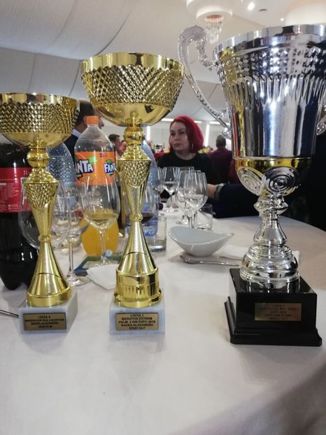  - 2019-Expozitia Nationala UCPR-Targoviste