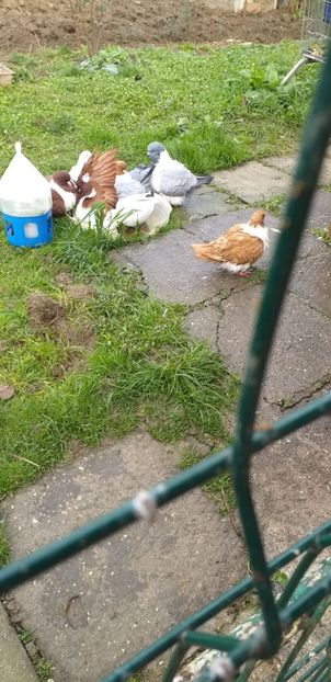 09.12 2019 - Strasser 2019-2023