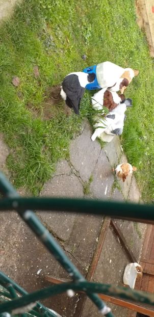 IMG-20191209-WA0009 - Strasser 2019-2023