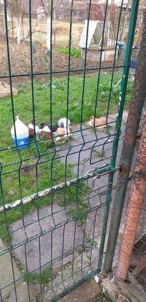 9.12.2019 - Strasser 2019-2023