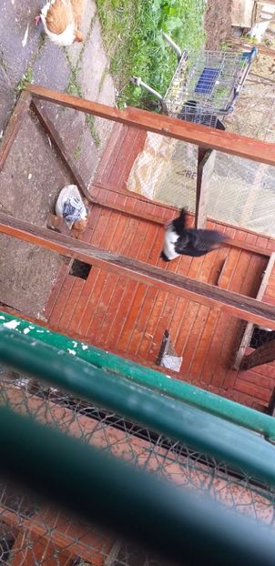 IMG-20191209-WA0003 - Strasser 2019-2023