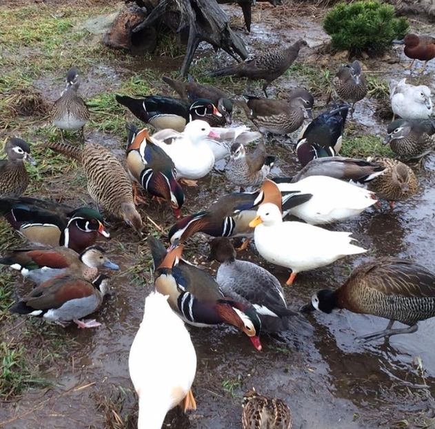  - Un fel de rai pe pământ!