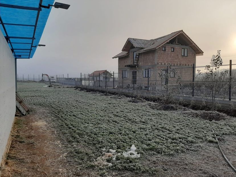 WhatsApp Image 2019-12-10 at 20.05.17 - TEREN CALIN