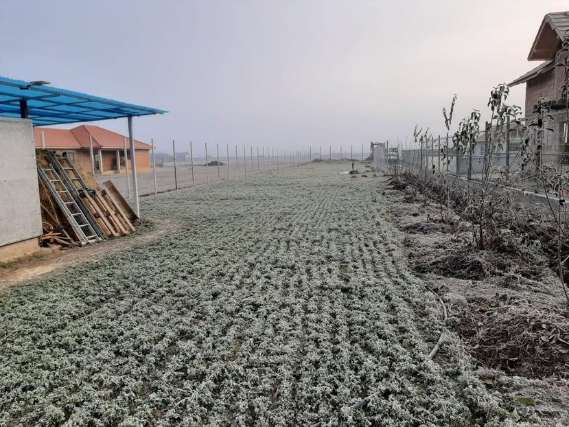 WhatsApp Image 2019-12-10 at 20.05.18(1) - TEREN CALIN