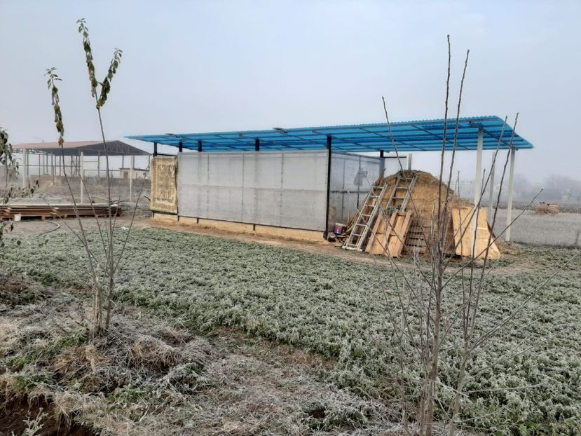 WhatsApp Image 2019-12-10 at 20.04.01(3) - TEREN CALIN