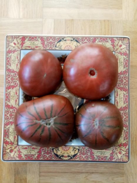  - TOMATE 2019 ALBUM 14