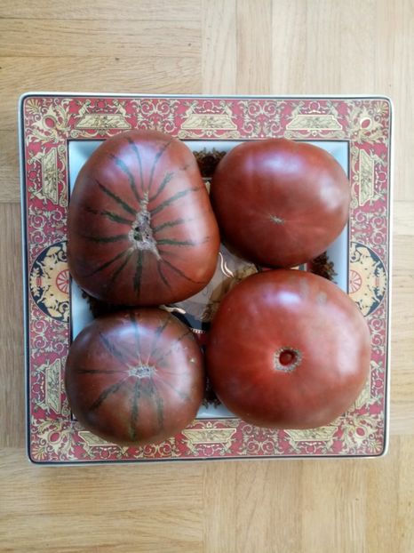  - TOMATE 2019 ALBUM 14