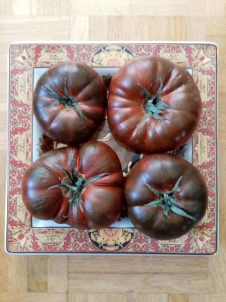  - TOMATE 2019 ALBUM 14