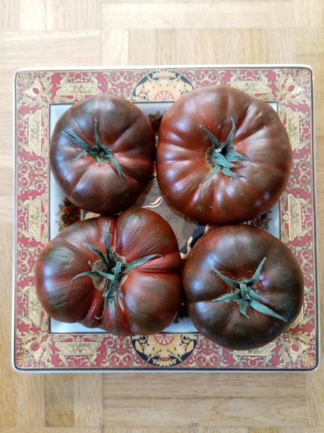  - TOMATE 2019 ALBUM 14