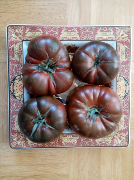  - TOMATE 2019 ALBUM 14