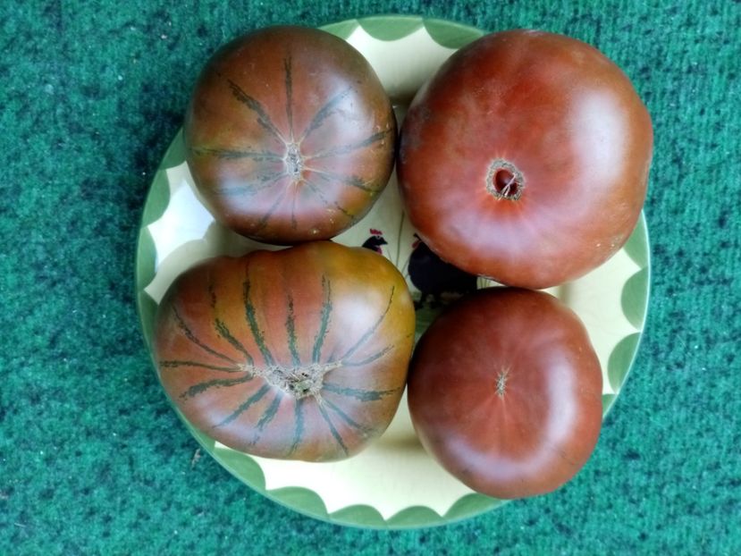  - TOMATE 2019 ALBUM 14