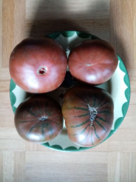  - TOMATE 2019 ALBUM 14