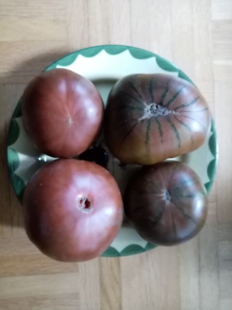  - TOMATE 2019 ALBUM 14