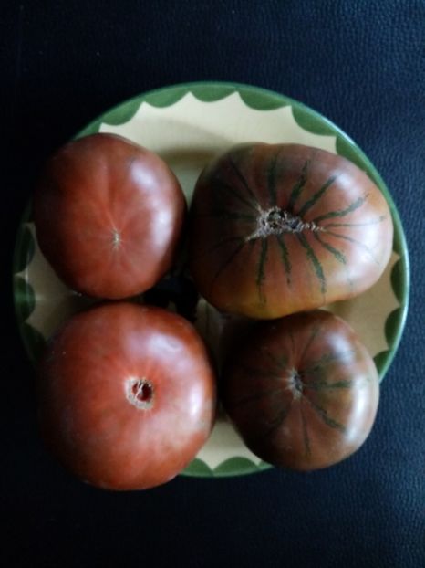  - TOMATE 2019 ALBUM 14