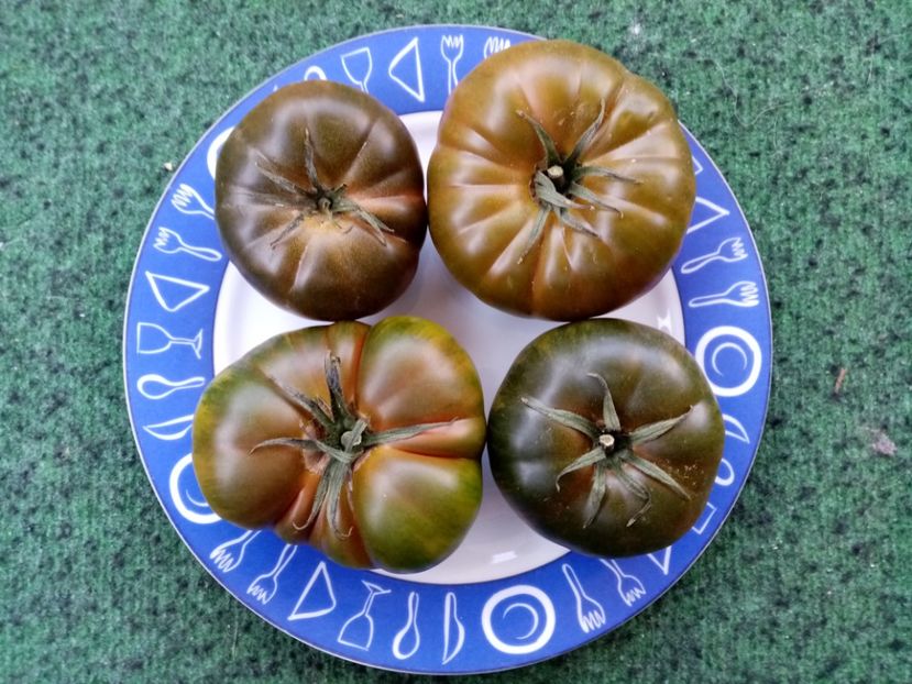  - TOMATE 2019 ALBUM 14
