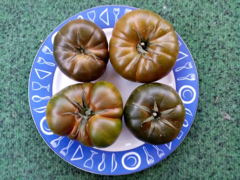  - TOMATE 2019 ALBUM 14