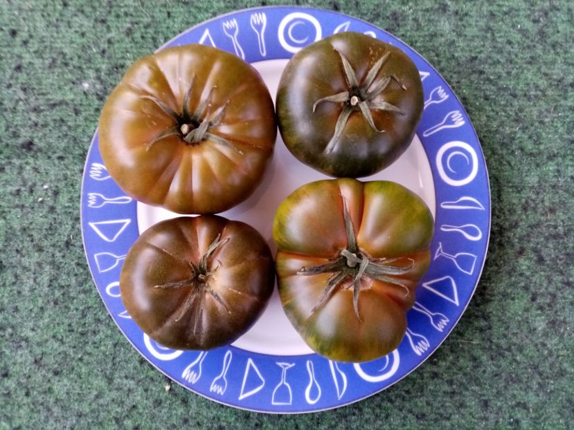  - TOMATE 2019 ALBUM 14