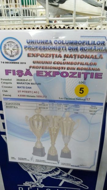 Loc 5 Maraton M+T Expozitie Targoviste 2019 - Rezultate