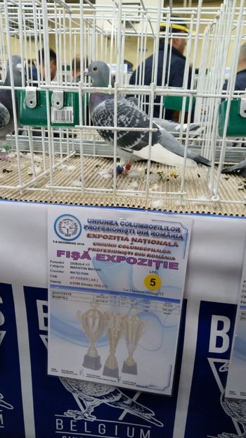 Loc 17 NAT. Maraton M+T '19 - Rezultate