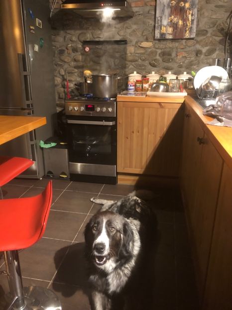 "pazesc dulceata de gutui!" - MARA DE CROITORU