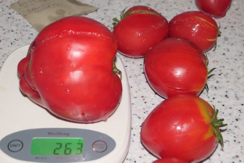 BABUSHKIN SEKRET (10) - SECRETUL BUNICII-BABUSHKIN SEKRET-