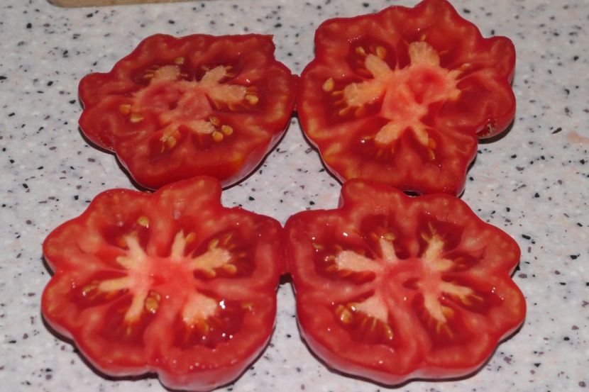 BEAUTY LORRAINE (40) - BEAUTY LORRAINE