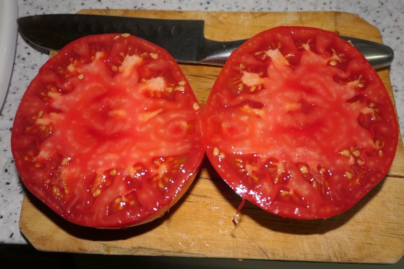 BIZON (3) - BIZON-SUGAR BIZON-RUSIA