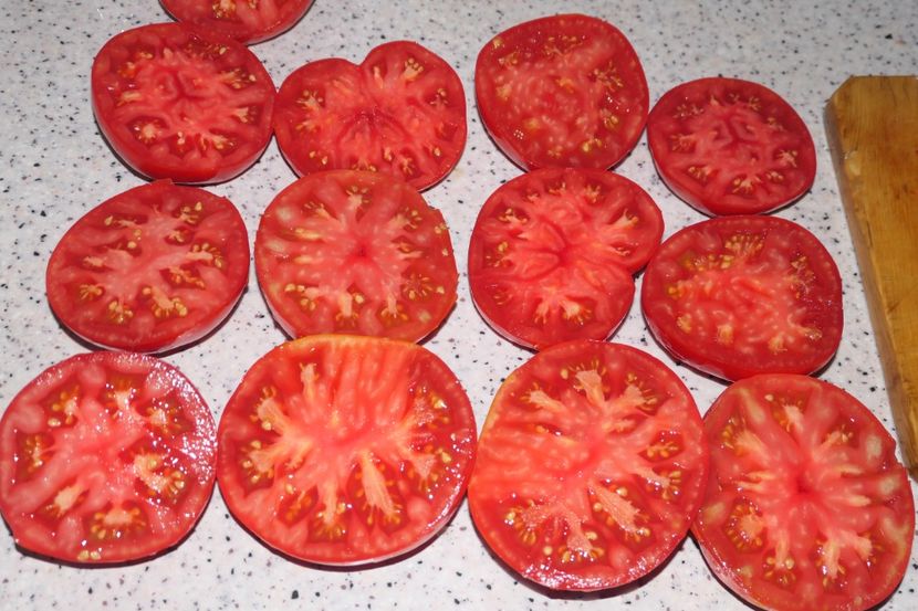 BIZON (17) - BIZON-SUGAR BIZON-RUSIA