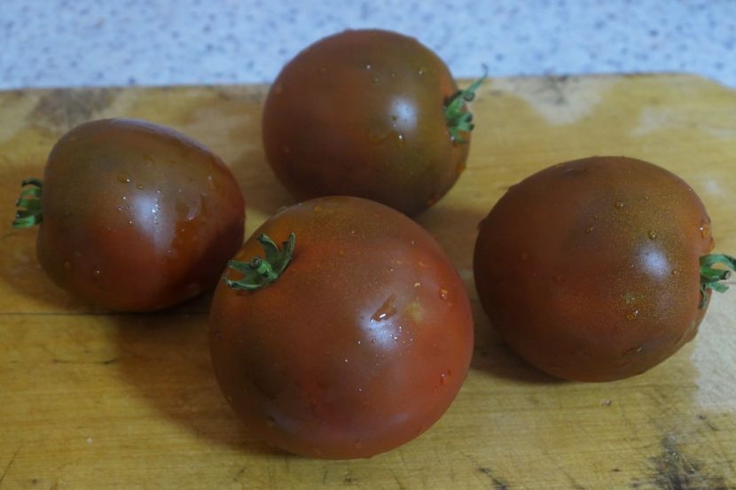 BLACK DRAGON (6) - BLACK DRAGON