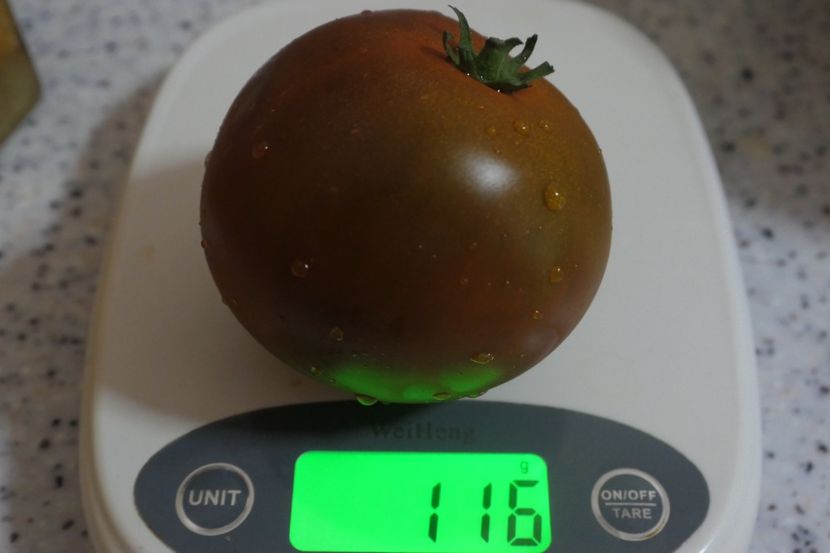 BLACK DRAGON (12) - BLACK DRAGON