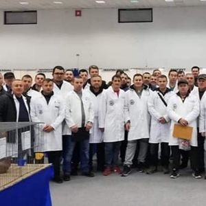  - Contact 0721627265