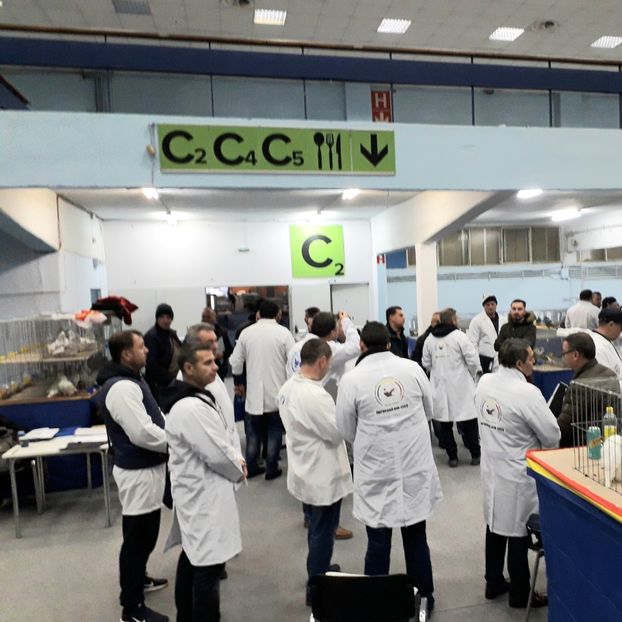  - Contact 0721627265