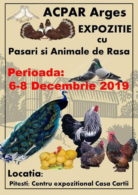 EXPO 2019 - EXPO PITESTI 2019