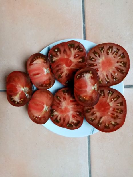  - TOMATE 2019 ALBUM 14