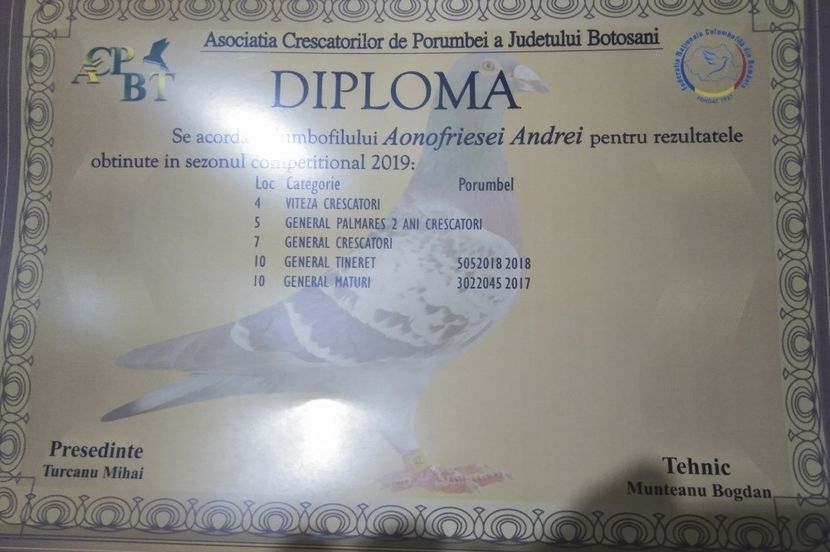  - diplome si cupe
