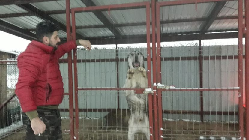  - ASIA - CENTRALĂ