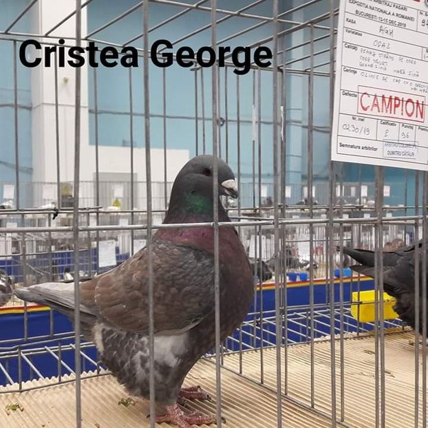  - Expozitia Nationala Romexpo 2019