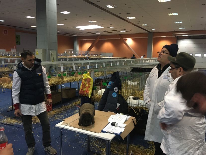 A723D84D-C13C-463D-99E4-E4B26A6C4043 - 13 - Arbitraj Nationala României București 12-12-19