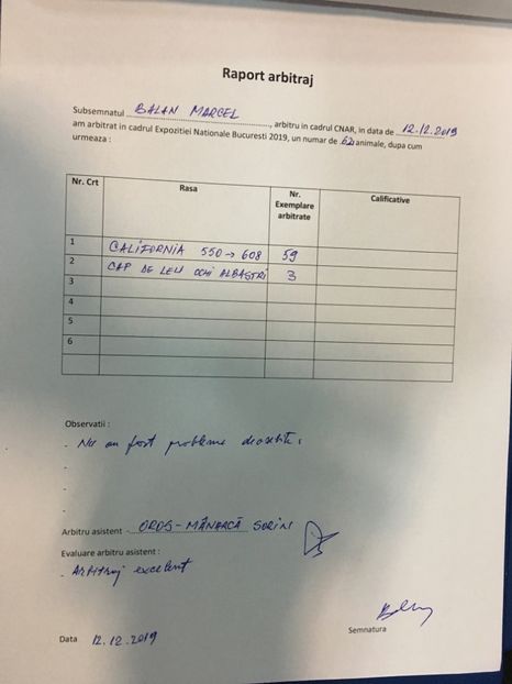 9D0A913D-2FD1-462C-B168-82E7D3473C56 - 13 - Arbitraj Nationala României București 12-12-19
