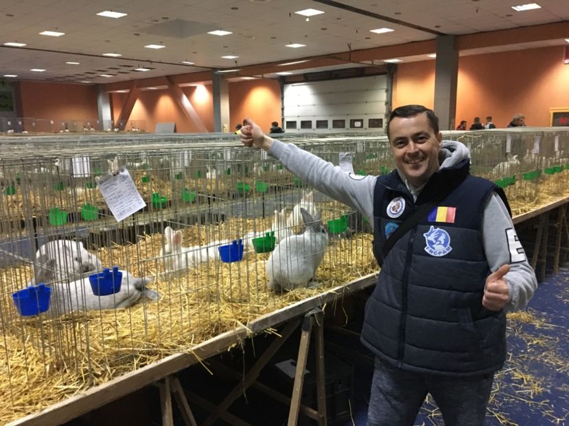 79C26D4E-FE4D-4EA3-9EE4-273D3823CFD3 - 13 - Arbitraj Nationala României București 12-12-19