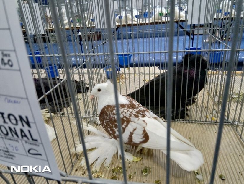  - expo 2019