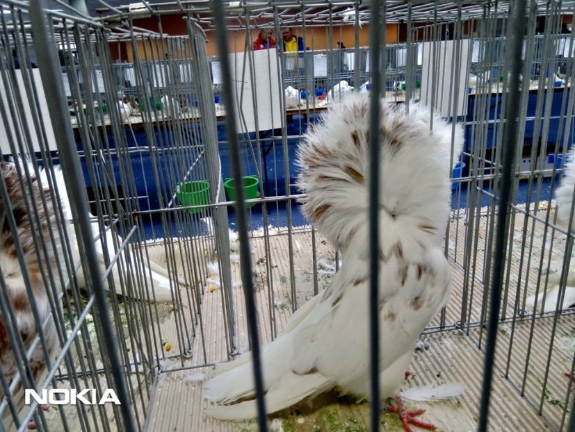  - expo 2019