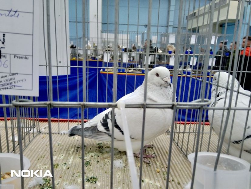  - expo 2019