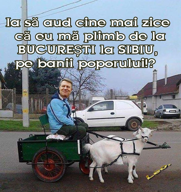 79979894_10213092905437782_6317131670977773568_o - Poze haioase pamflet