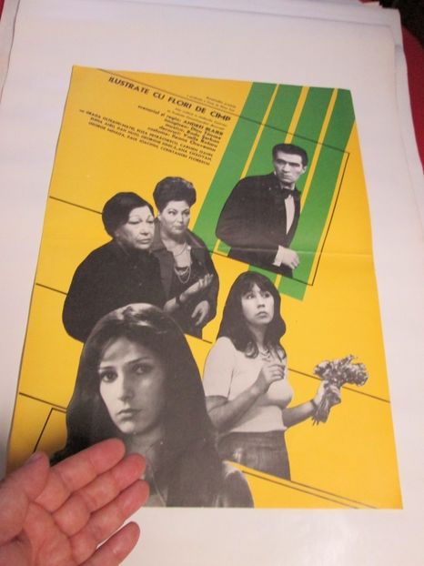 Ilustrate Cu Flori De Camp - Ilustrate Cu Flori De Camp 1975