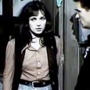 Ilustrate Cu Flori De Camp - Ilustrate Cu Flori De Camp 1975