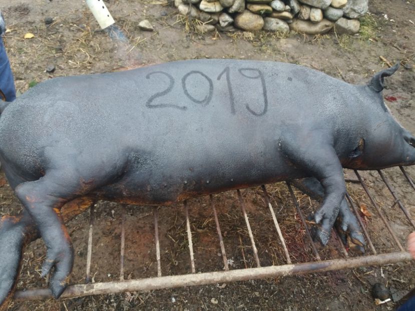  - Tăierea porcului decembrie 2019