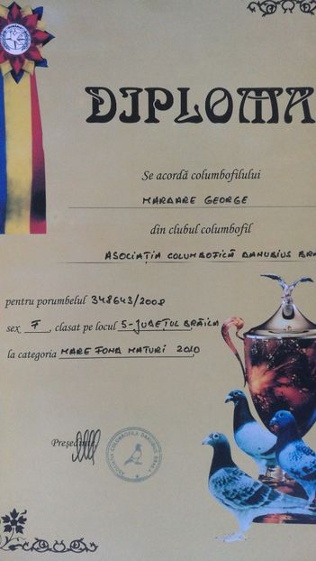 348643-2008 F - Cuplul 3