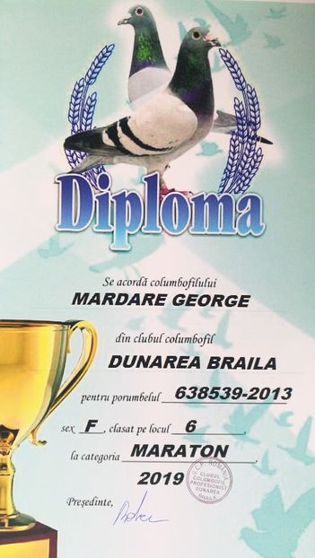 638539-2013 F - Cuplul 5