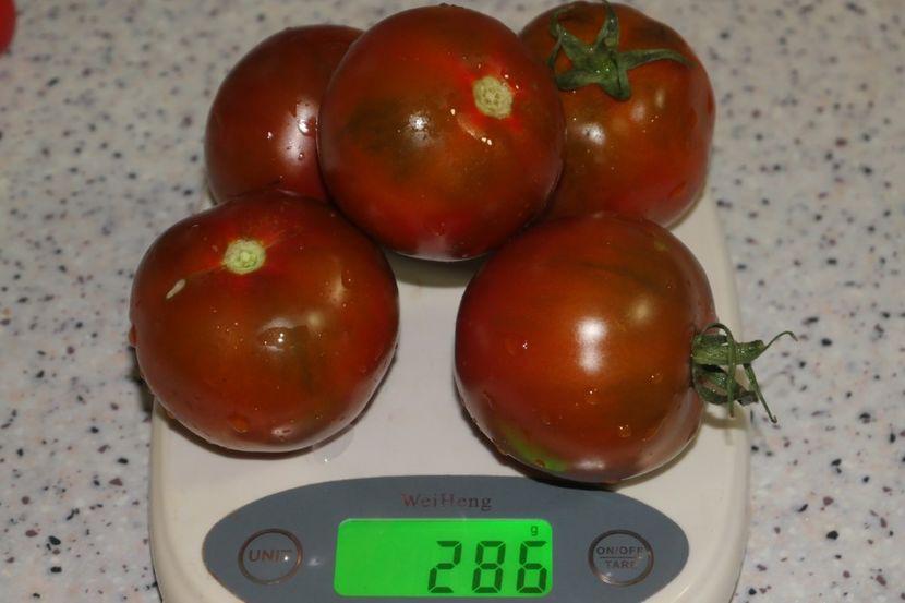 BLACK MAURI (9) - BLACK MAURI